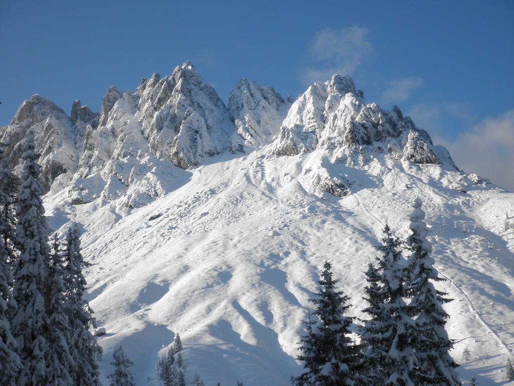 Haus Sommerstein Maria Alm Extérieur photo